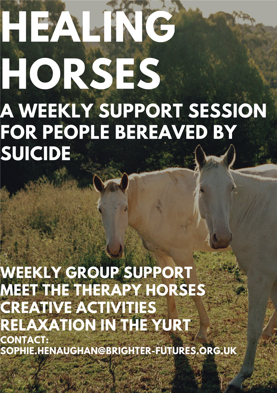 healing horses